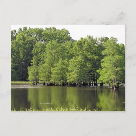 ruhige Cove Postkarte (Vorderseite)