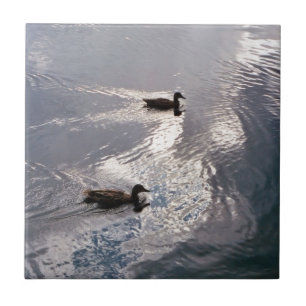 Ruhige Enten vor dem Sturm Fliese