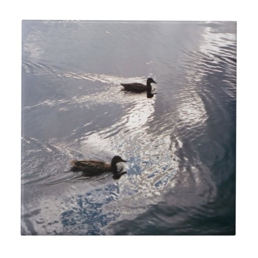Ruhige Enten vor dem Sturm Fliese (Vorderseite)