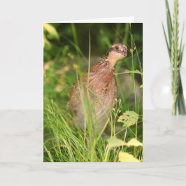 Ruhige Flüchtige Blicke aus dem Pinsel Karte