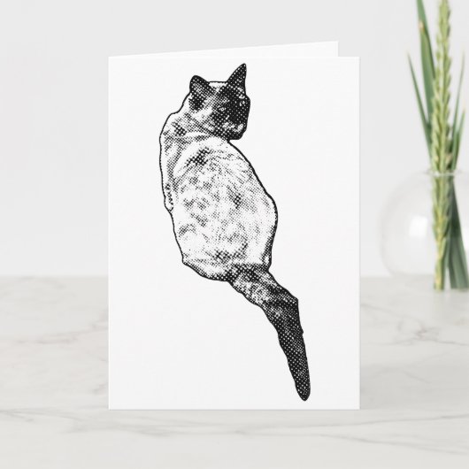 Ruhige Katze, warme Wünsche Karte (Vorderseite)