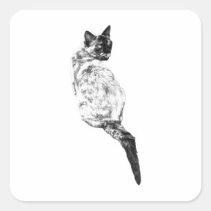 Ruhige Katzenpflege Design Quadratischer Aufkleber