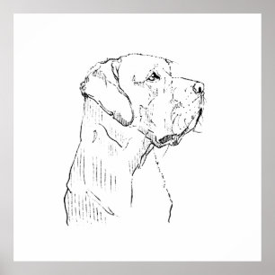 Ruhige Labrador Retriever Wandkunst, Handgezeichne Poster
