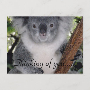 RUHIGE LAGE POSTKARTE