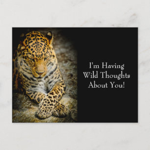Ruhige Leopard "Wilde Gedanken" Postkarte