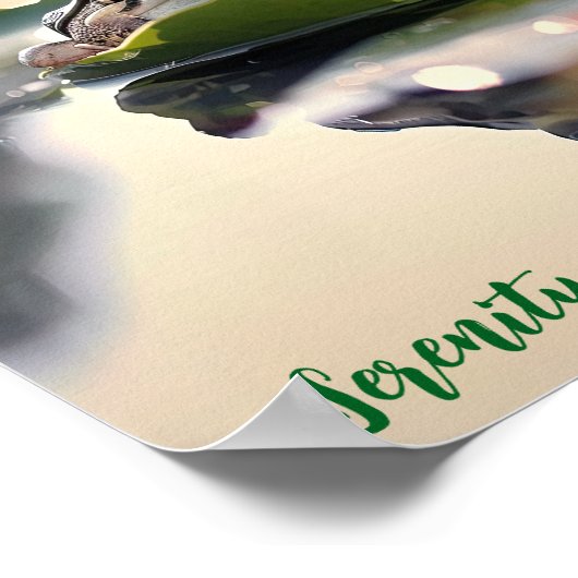 Ruhige Lily Pad: Frosch am Morgen Poster (Ecke)