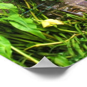 Ruhige Menschentür drucken Poster (Ecke)