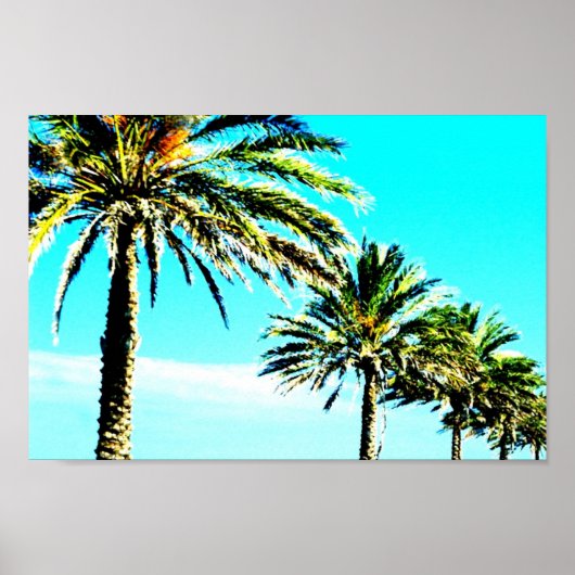 ruhige Palme Poster (Vorne)