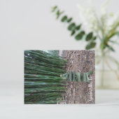 Ruhige Reflektion Postkarte (Stehend Vorderseite)