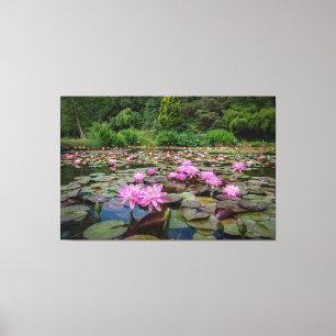 Ruhige Reflektionen: rosa Wasserlilien Leinwanddruck