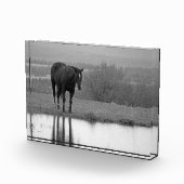 Ruhige Refltektion ~ Foto-Block Fotoblock (Rechts)