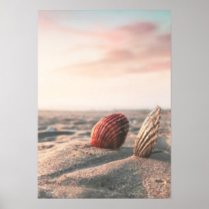 Ruhige Sandstrand Meer Muschel Ozean Fotografie Po Poster