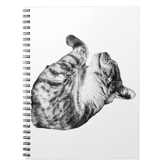 Ruhige Seiten, warme Paws Notizblock (Vorderseite)