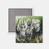 Ruhige Stärke - Percheron Horst Team Magnet (Vorderseite/Rückseite)