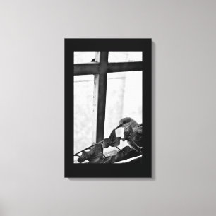 Ruhige Taube Leinwanddruck