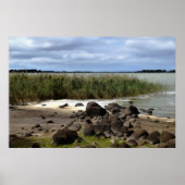 Ruhige Ufer des Lake Bolac Poster (Vorne)