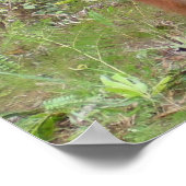 Ruhige Unterrichtsräume Poster (Ecke)