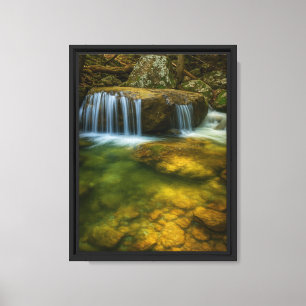 Ruhige Waldschlucht Gerahmte Leinwand Kunst, Dicht