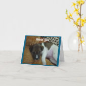 Ruhige Welpe bekommen gute Karte (Gelbe Blume)