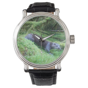 Ruhige Wildtiere Flussufer Otter Uhr Friedlich
