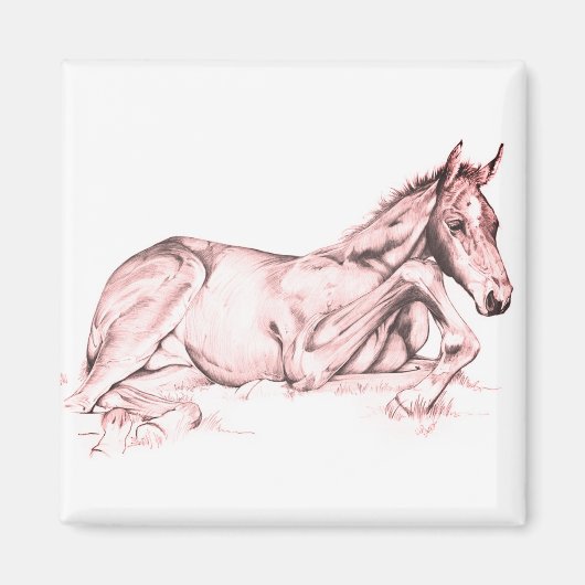 Ruhige Zeit (Lachs) Magnet (Vorne)