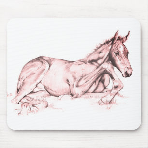 Ruhige Zeit (Lachs) Mousepad