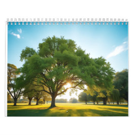 Ruhige Zeit mit einem großen Baum  Kalender