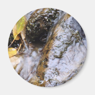 Ruhiger Bergbach mit Herbstlaub Magnet
