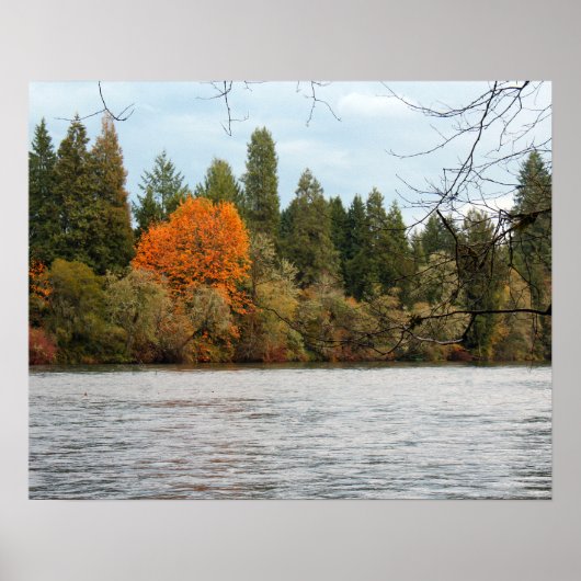 Ruhiger Fluss Poster (Vorne)