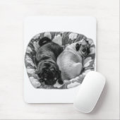 Ruhiger Fokus, ruhende Möpse Mousepad (Mit Mouse)