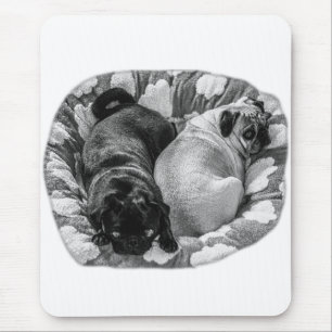 Ruhiger Fokus, ruhende Möpse Mousepad