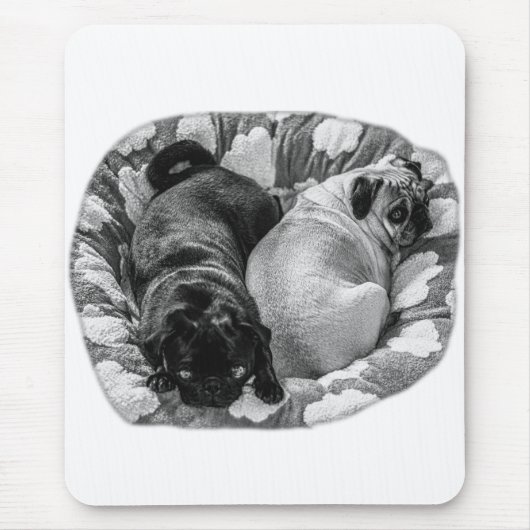 Ruhiger Fokus, ruhende Möpse Mousepad (Vorne)