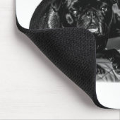 Ruhiger Fokus, schattierte Möpse Mousepad (Ecke)