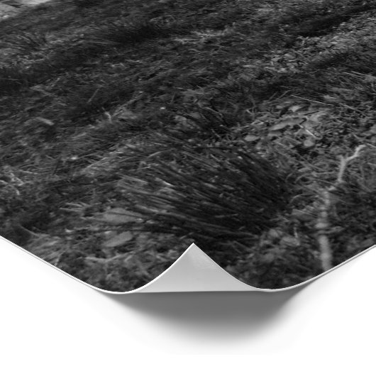 ruhiger Friedhof Poster (Ecke)