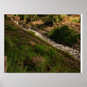 Ruhiger grüner Bach in der Landschaft - Rustikale Poster