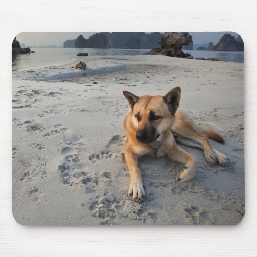 Ruhiger Hund am Strand Mousepad (Vorne)