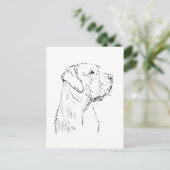 Ruhiger Labrador Retriever  Postkarte (Stehend Vorderseite)