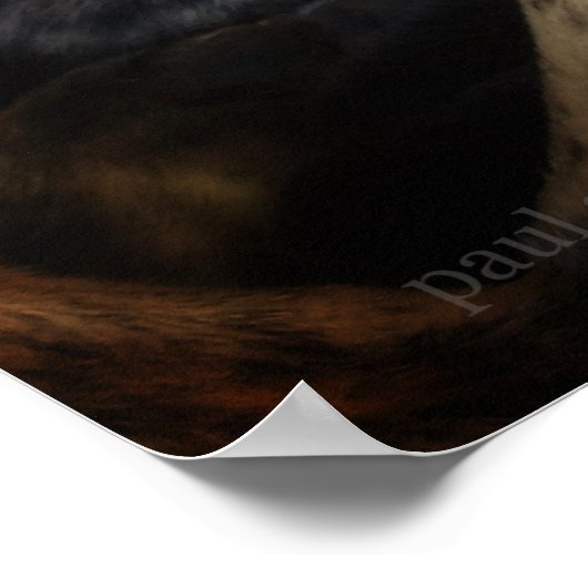 Ruhiger Lurcher Sight Hound Poster (Ecke)