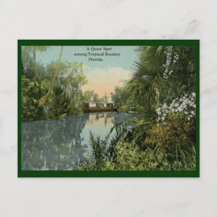 Ruhiger Ort im tropischen Florida Vintage Postkarte