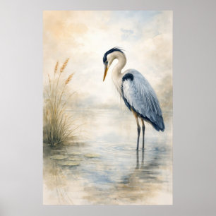Ruhiger Reiher im Sumpf Blaureiher Poster