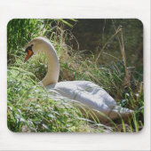 Ruhiger Schwan Mousepad (Vorne)