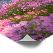 Ruhiger See umgeben von Naturerlebnissen Poster (Ecke)