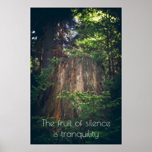 Ruhiger Sommerwald Poster (Vorne)