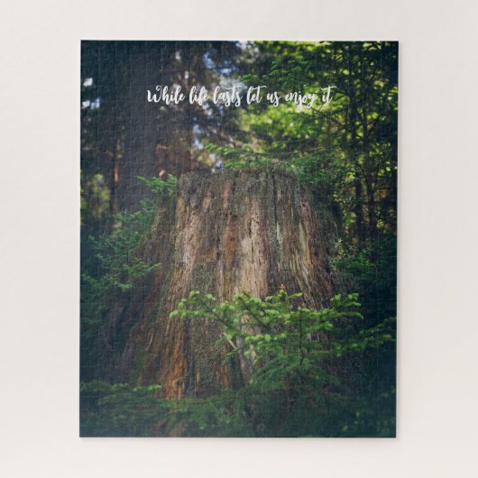 Ruhiger Sommerwald Puzzle (Vertikal)