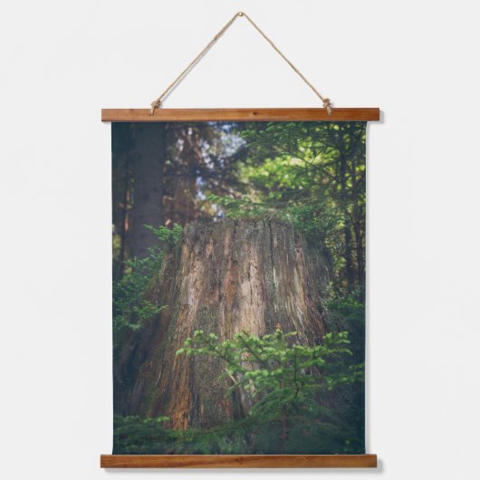 Ruhiger Sommerwald Wandteppich Mit Holzrahmen (Vorderseite)