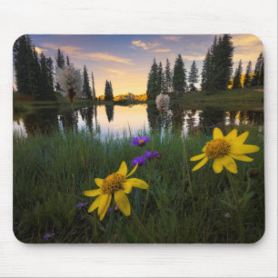 Ruhiger Sonnenaufgang über einem Colorado-Teich Mousepad