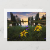 Ruhiger Sonnenaufgang über einem Colorado-Teich Postkarte (Vorne/Hinten)