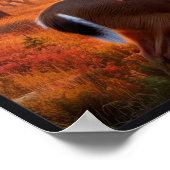 Ruhiger Sonnenuntergang im Wald mit optionalem Rah Poster (Ecke)