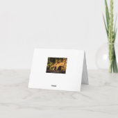 Ruhiger Sonnenuntergang Karte (Rückseite)