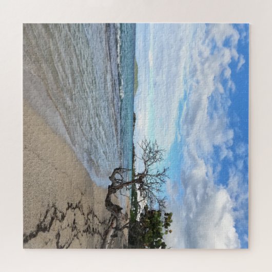 Ruhiger Strand - St Croix, USVI Puzzle (Horizontal)